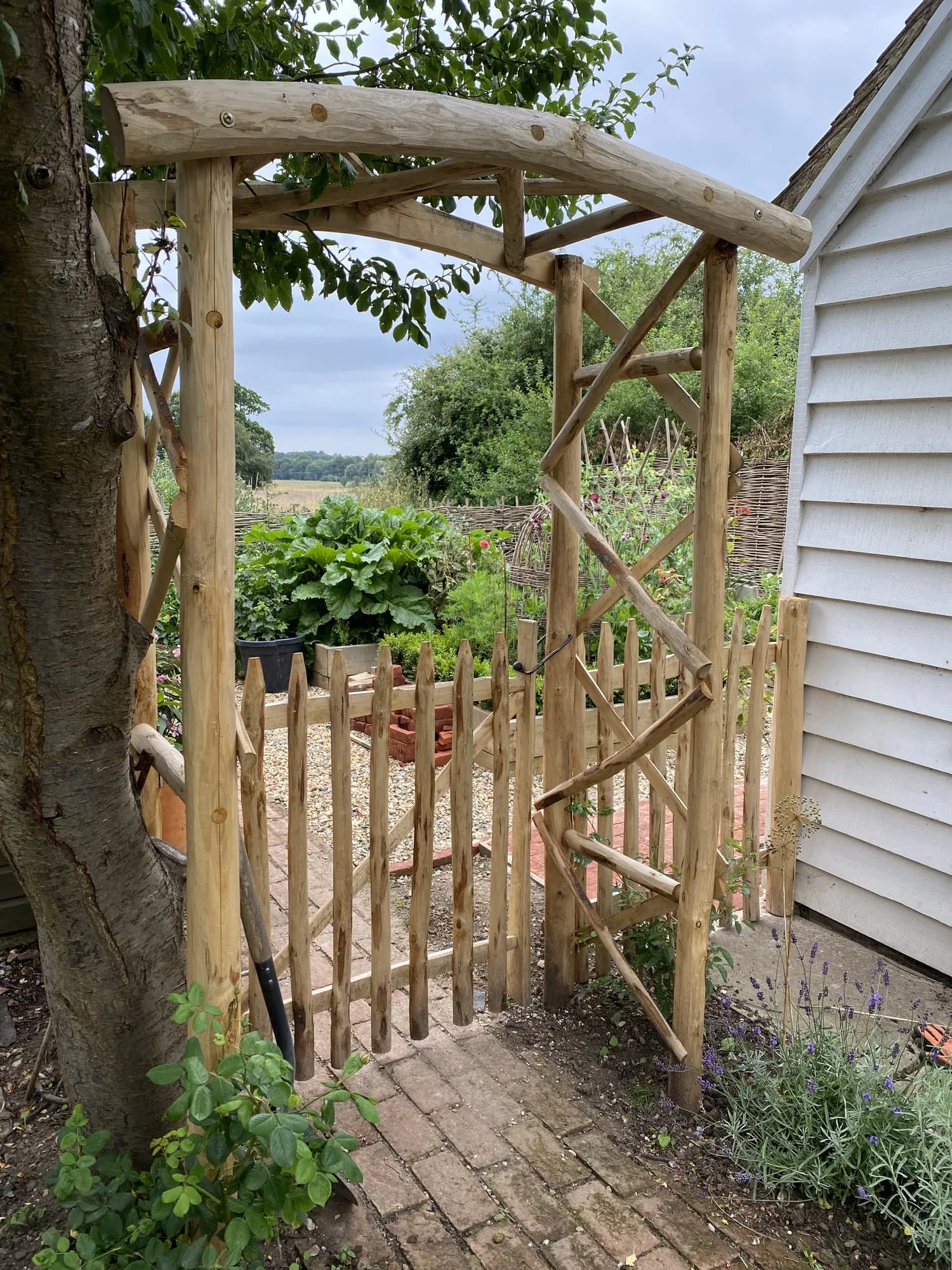 rose arch over picket garden gate