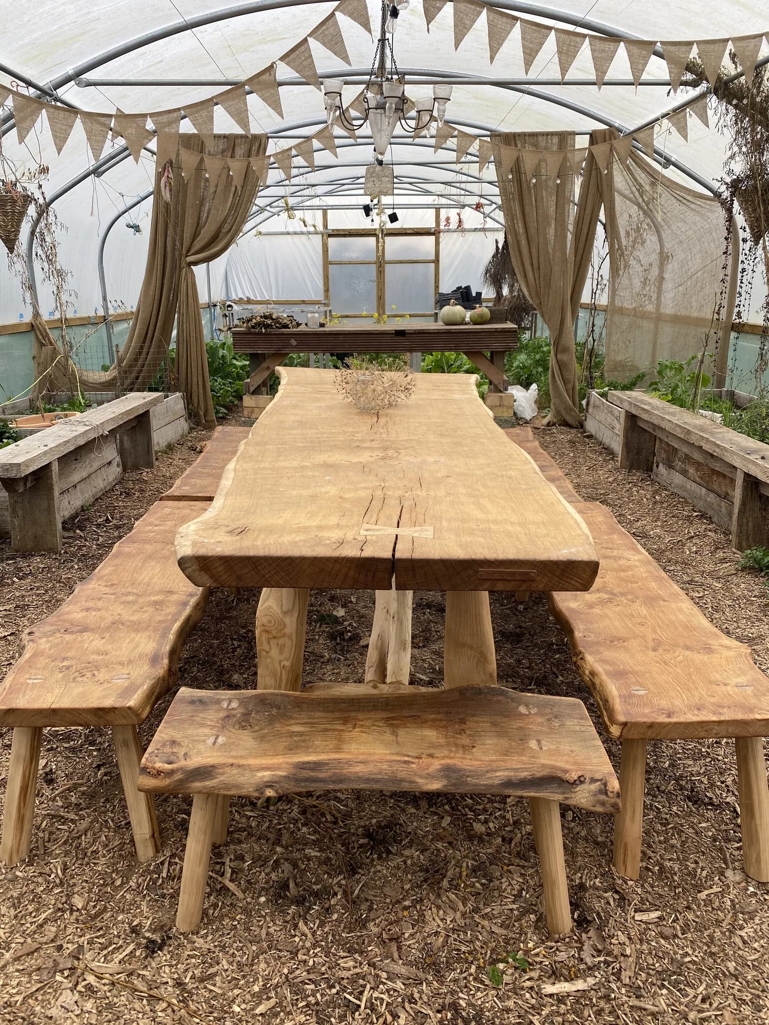 long table and benches in polytunnel